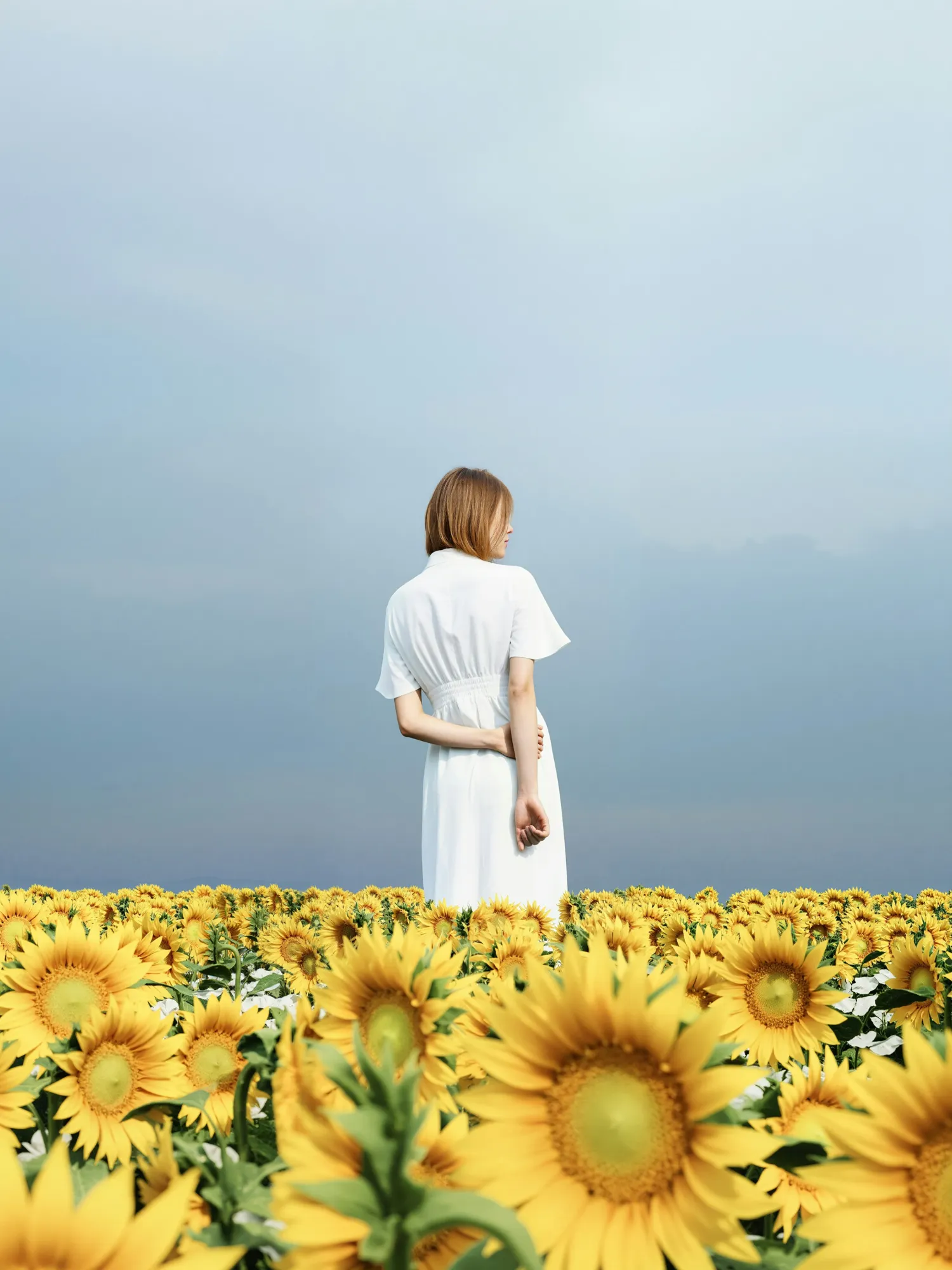 Polished editorial photo of a woman in a white dress standing in a field of yellow sunflowers under a soft cloudy sky