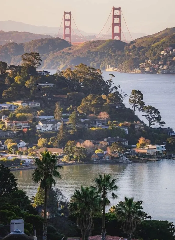 Sunset photo of the San Francisco skyline with the Golden Gate Bridge in the distance, wooded hills, bay water, and palm trees in the foreground